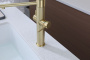 Смеситель для кухни NEXUS DIAMOND, светлое золото, Nd613999-LG, Paulmark-Starke